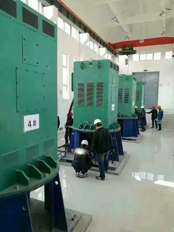 工布江达某污水处理厂使用我厂的立式高压电机安装现场