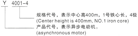 西安泰富西玛Y系列(H355-1000)高压工布江达三相异步电机型号说明